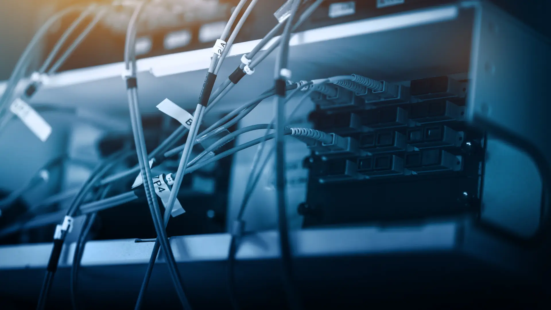 WordPress hosting in Serbia, server infrastructure and web technologies